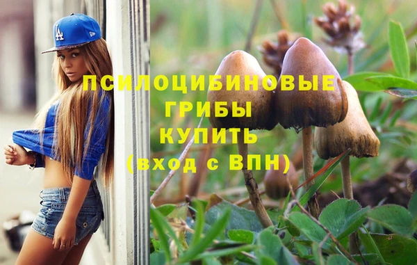 прущие крисы Балахна
