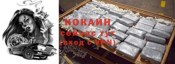прущие крисы Балахна