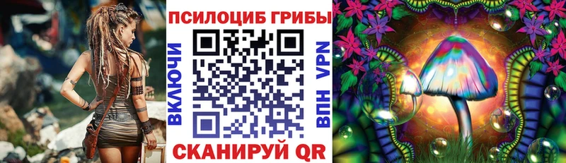 Галлюциногенные грибы Magic Shrooms  Купить где  Сольвычегодск 